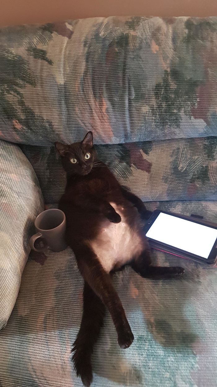 I Swear, She's Mocking Me