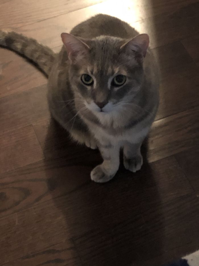 His Foot’s Not Broken, He Just Sits Like This Sometimes