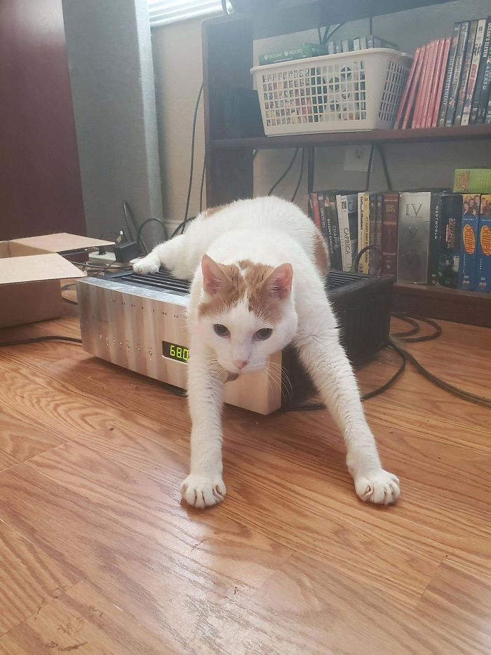 He's Been Sitting Like This For An Hour