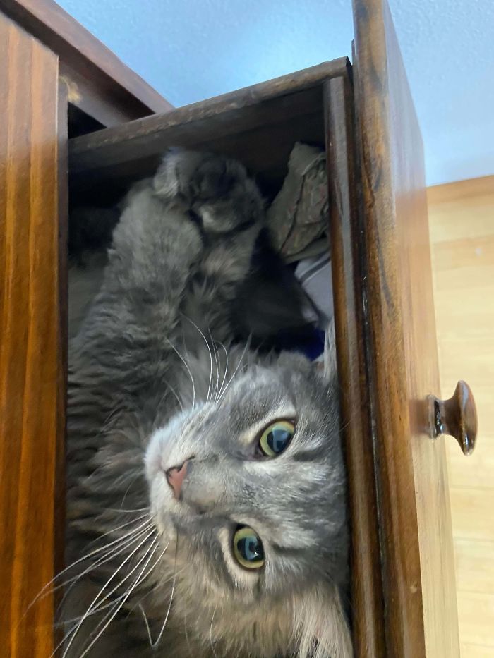 George Michael In His Favorite Drawer