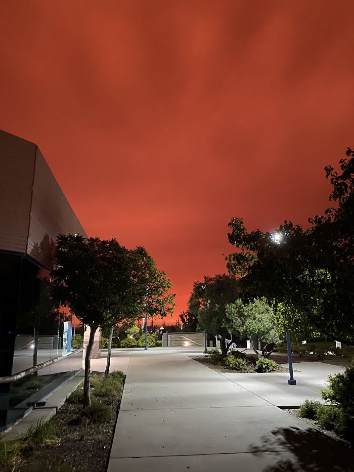 Looks Like I’ll Be Joining You In The Upside-Down World