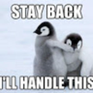 samuelroanhorse avatar