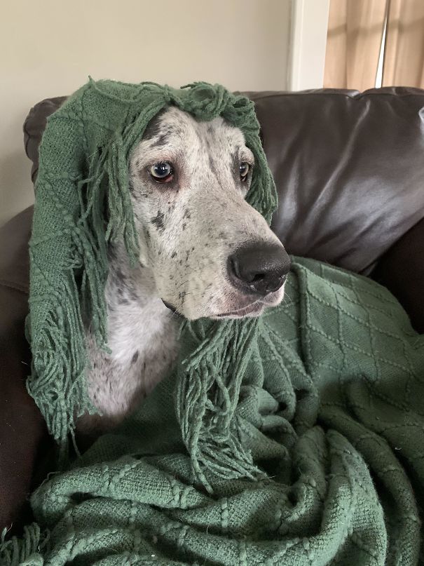 The Prettiest Little Swamp Thing