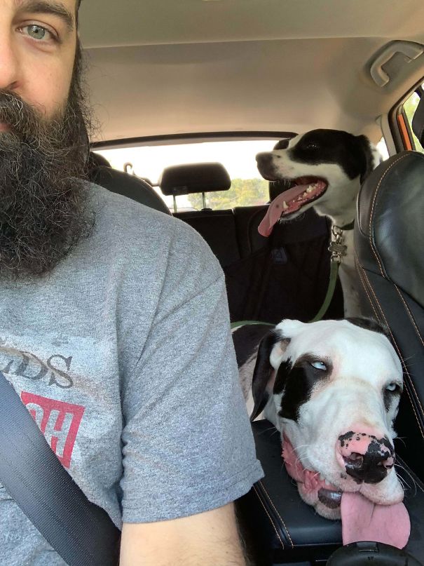 The Park Broke My Dog