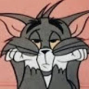 theresaadkinshuff avatar