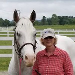 knowotnyboles avatar