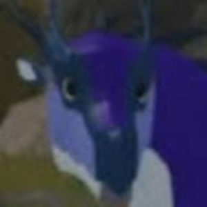 junoniathesilkwing avatar