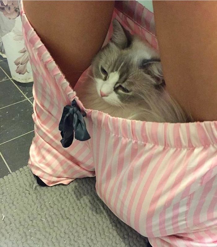 If It Fits I Sits. Even If It's In Your Pants While You Pee
