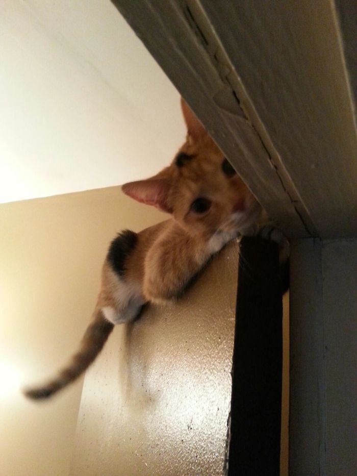 Looks Like I'm Showering With The Door Open This Morning