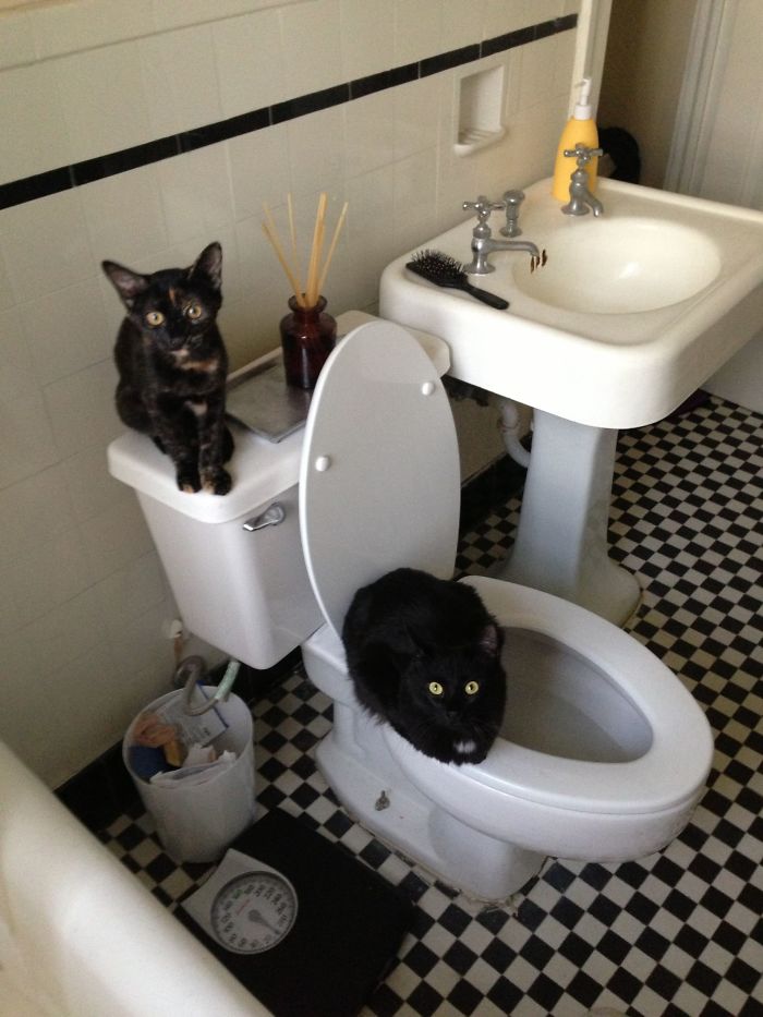 Every Time I Pull Back The Shower Curtain