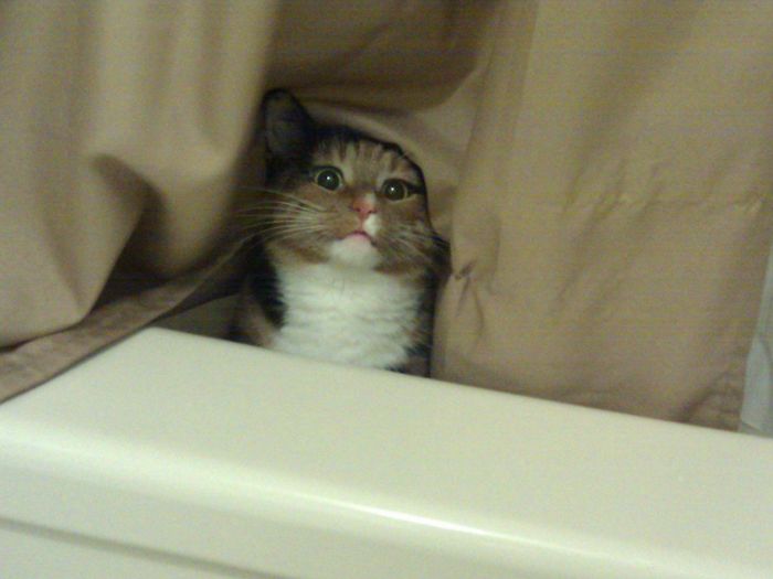 Privacy Please!? I Don't Come In While You're In The Shower! Wait... Yes I Do