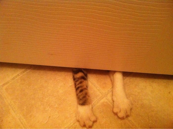 Every Morning Under The Bathroom Door