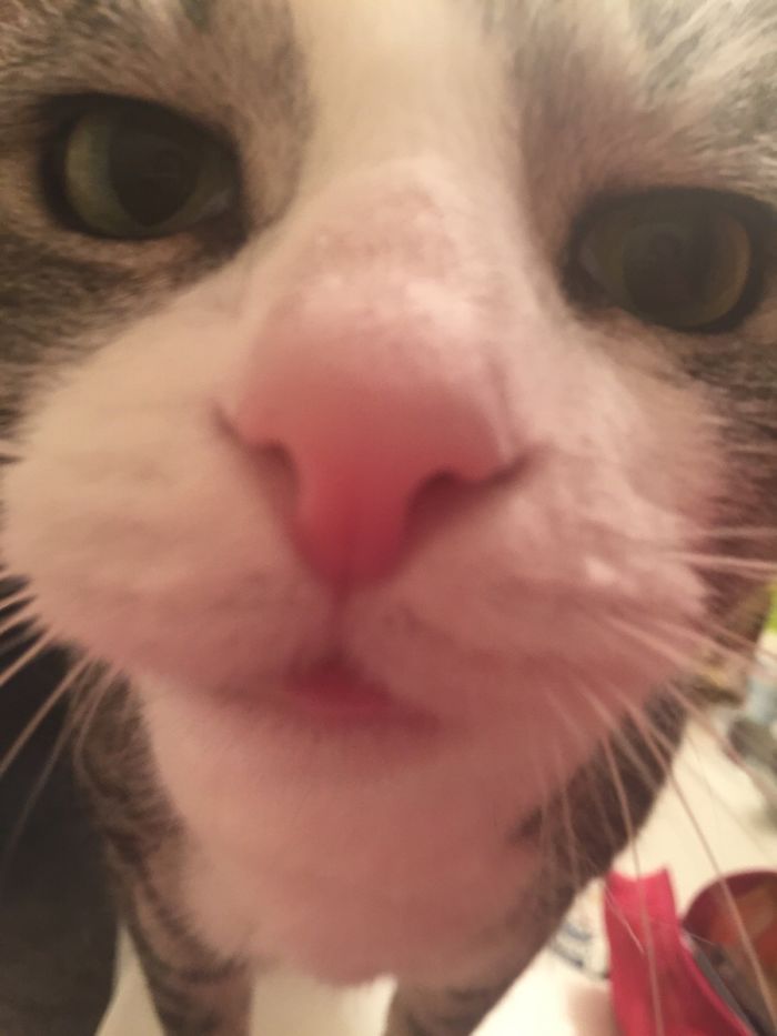 Try Not To Be Too Jealous Of My Personal Bathroom Attendant