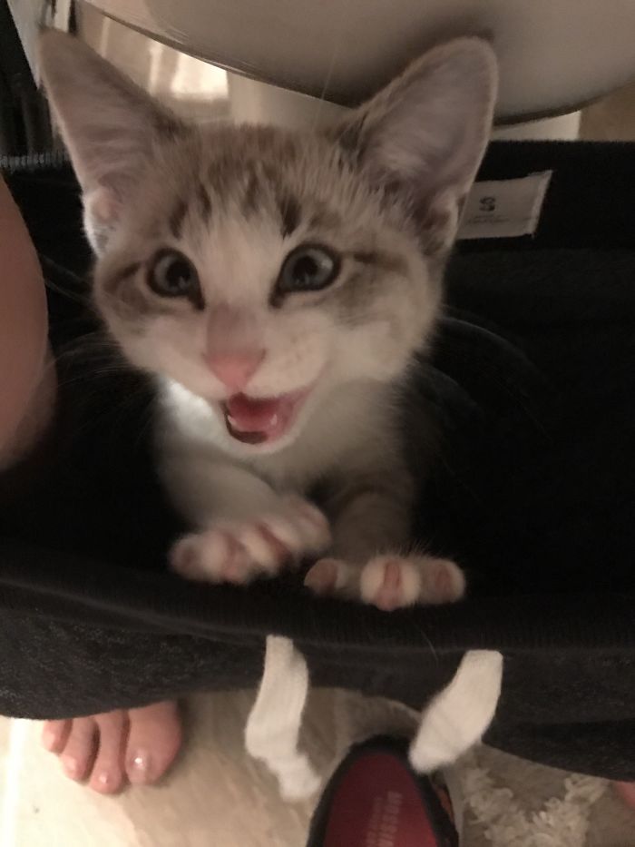 I Just Want To Go To The Bathroom And Play On My Phone In Peace