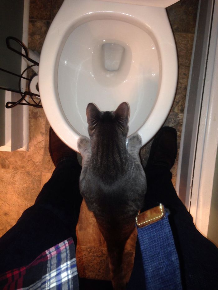 This Happens Everytime I Go To The Bathroom... He's Lucky I Love Him