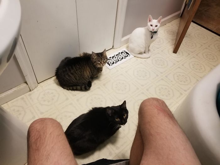 A Little Privacy, Guys