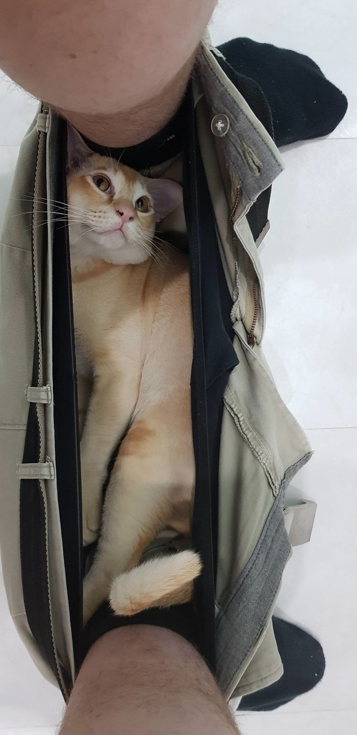 There's No Such Thing As Privacy In Our House