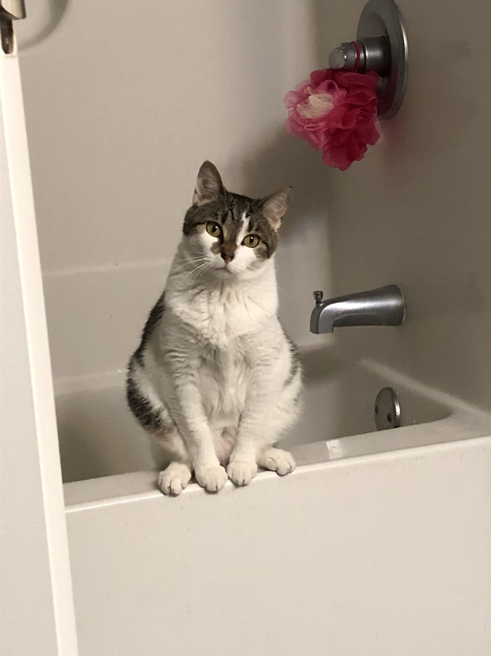 Cricket Doesn’t Care About Bathroom Privacy