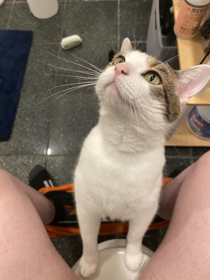 Found Him On The Side Of The Road When He Was Barely A Week Old. He Never Learned About Privacy And Always Wants To Chew On My Fingers