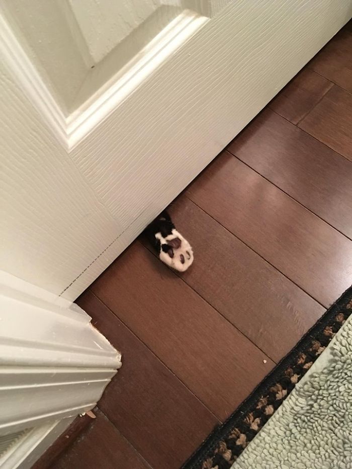 What My Girlfriend Sees Every Time She Uses The Bathroom