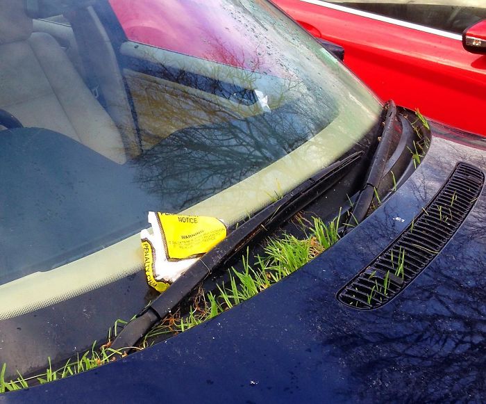 This Car Has Grass Growing Through The Hood