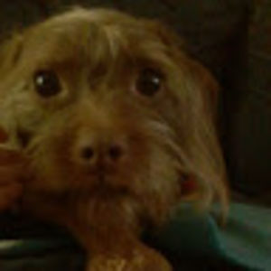 michellebenson avatar