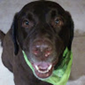 kathymiller_1 avatar