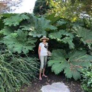 agilbertheron avatar