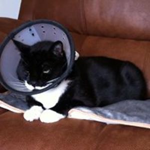 joanne_haywood65 avatar