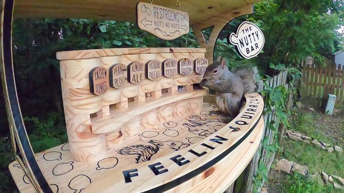 I Designed And Built This Squirrel Bar From Scratch. Anything You Would Change?