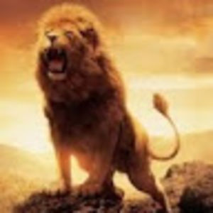 zachariahm_baird avatar