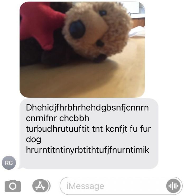 My Brother Just Sent Me This.