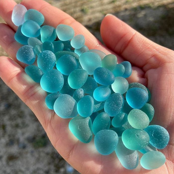 Forbidden Fruit Snacks