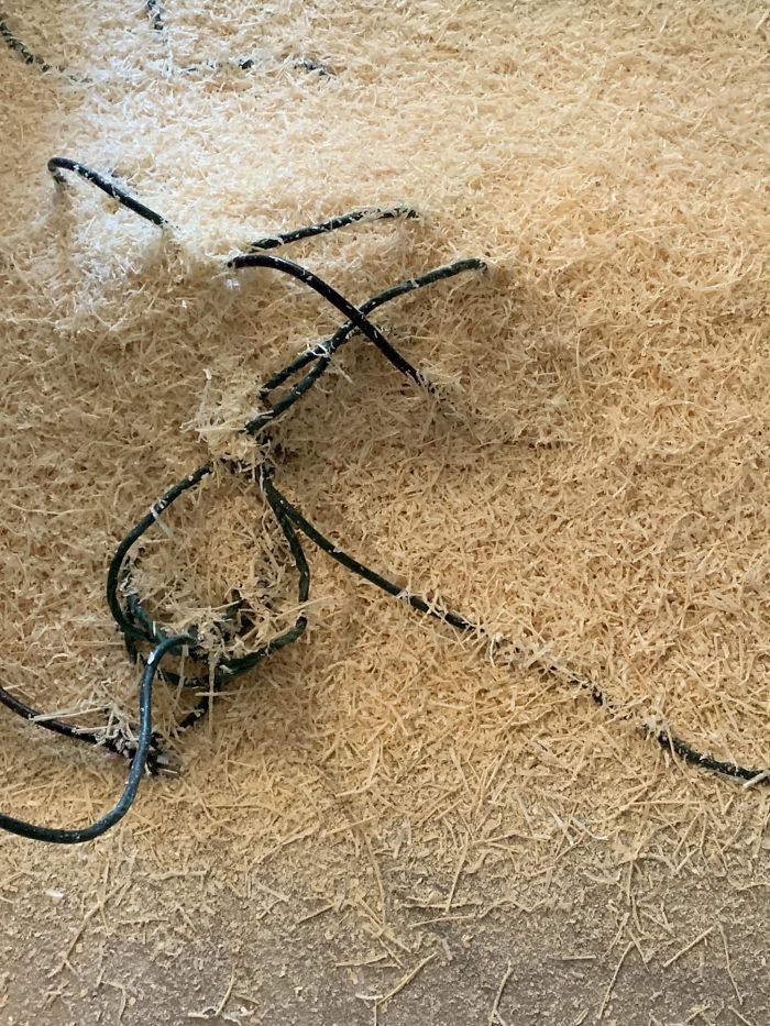 When You Don’t Tell The Olive Garden Waiter When