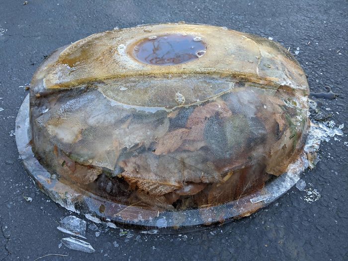 What I'm Bringing For Christmas Dessert: "Trashcan Lid Rain Leaf Surprise"