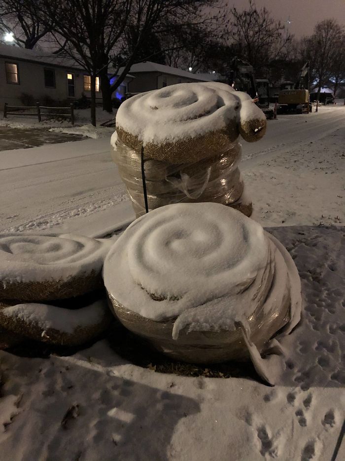 Forbidden Cinnamon Rolls