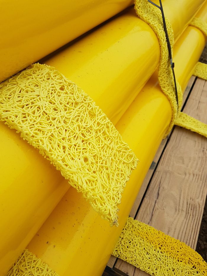 Forbidden Ramen