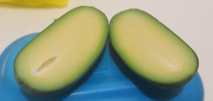 Pitless Avocado