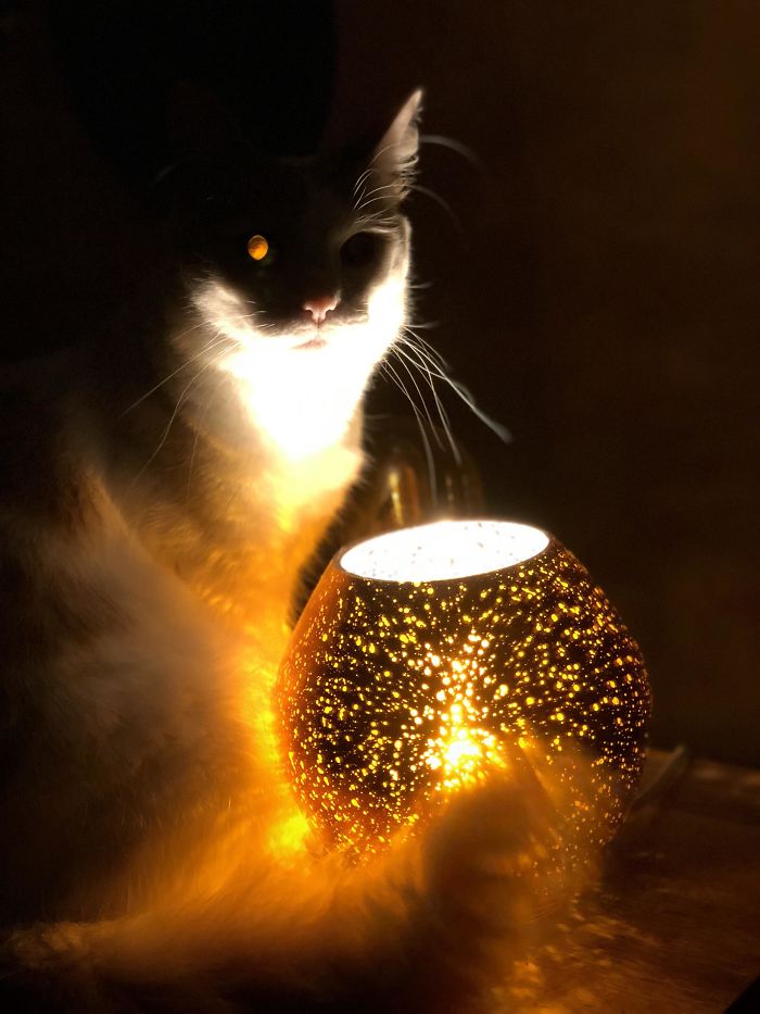 He May Be A Demon, But He’s My Demon