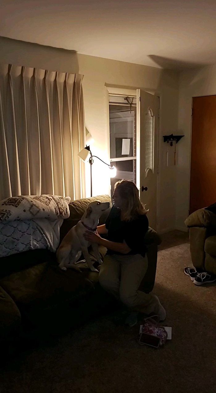 This Year I Got My Fiance A Rescue Doggo For Her Birthday, I Think It Went Over Pretty Well.