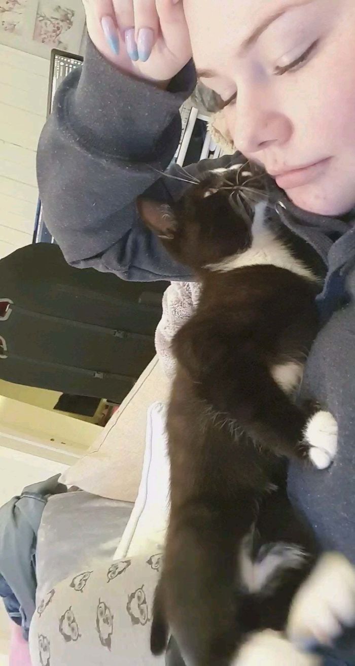 Just Adopted This Handsome Guy Today