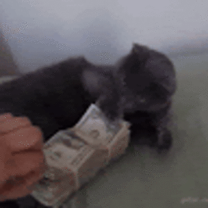 sabrinarounding avatar