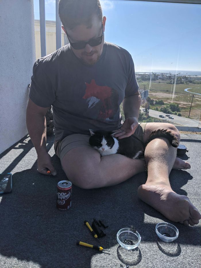My 17 Year Old Cat Tina Is Old, But Still Very Sweet! She Sits In My Dad's Lap Like This Every Morning