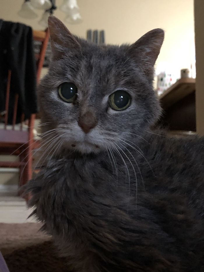 One Week Ago This 19-Year-Old Wouldn’t Eat And We Were Told To Prepare For The Worst. Today She’s Gained 5 Ounces And Has Made It Clear She’s Not Done With Us Yet