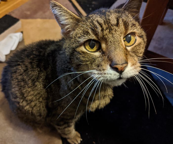 James Was Born December 2000. Happy 19th Birthday To Him