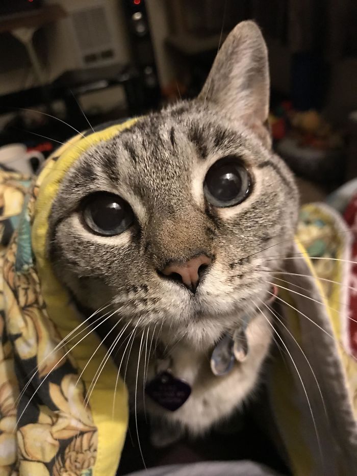 My Snuggly 16 Year Old Girl Doing What She Does Best