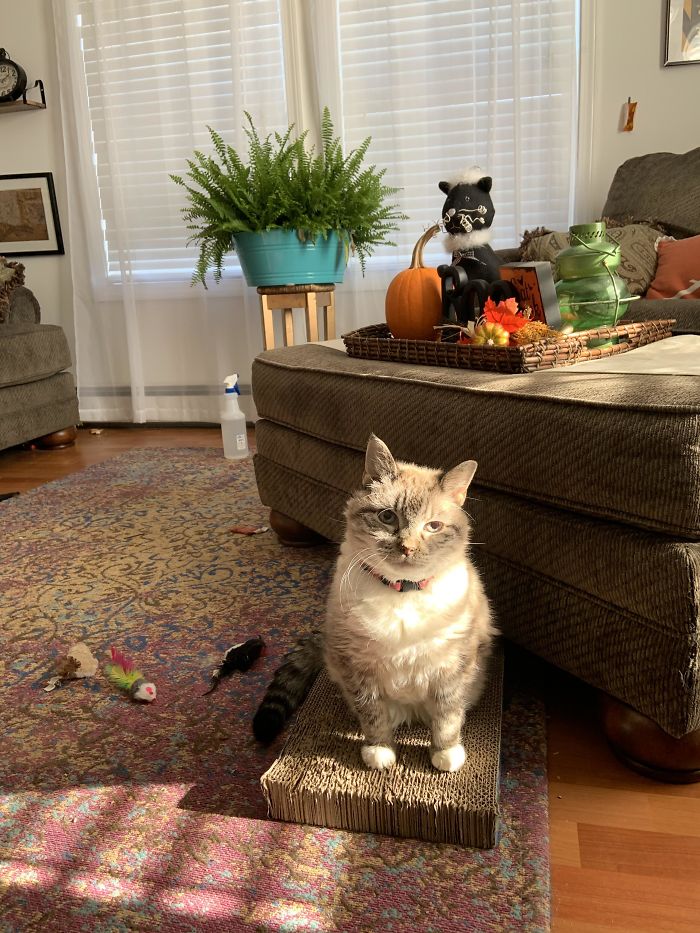 "Lady, It's Been 18 Years, Do We Still Have To Take A Million Photos Every Day?"