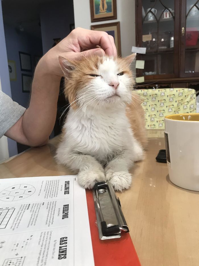 My Handsome 18 Year Old Pumpkin