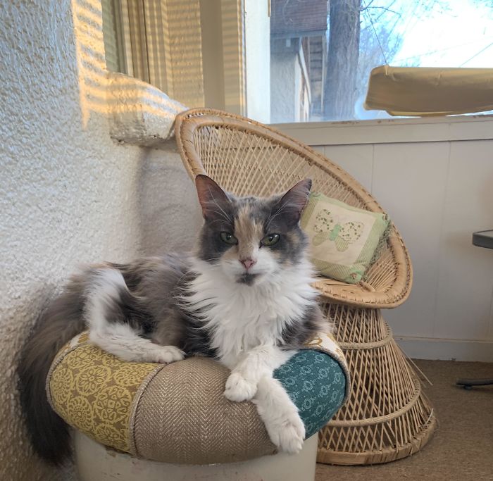 20 Years Old And Still Knows She’s The Queen