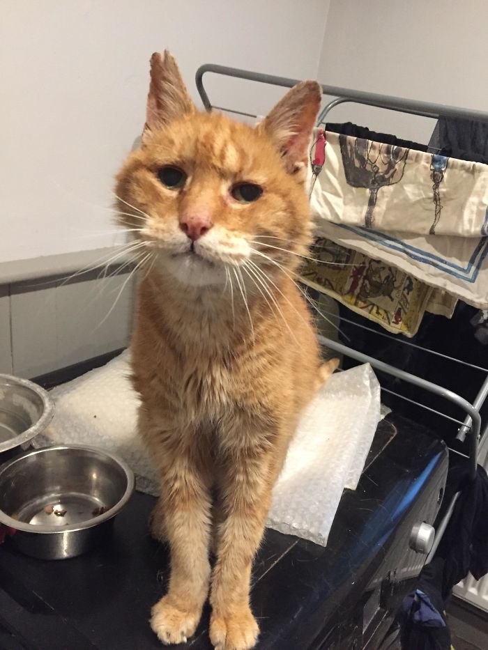 Made It Back Home To See My Old Buddy Turn 21